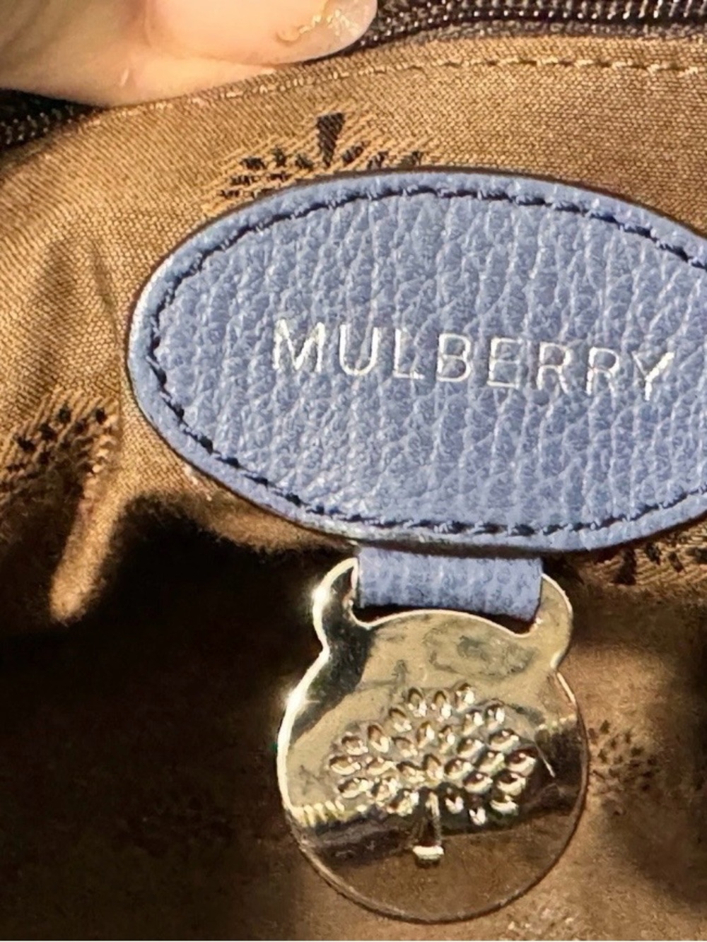 Mulberry Del Rey Bag In Blue Leather Silver Hardware Quiet Luxury Colorful - Picture 10 of 13